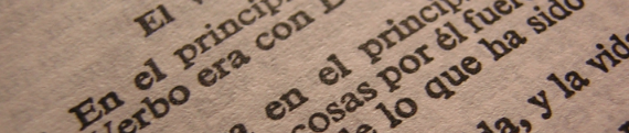 Post image for Líderes Juveniles Bíblicos