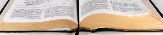La Biblia y el Lider