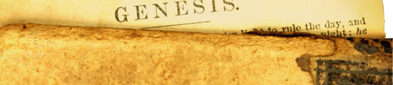Post image for Como Ayudar a los Jovenes a Estudiar la Biblia